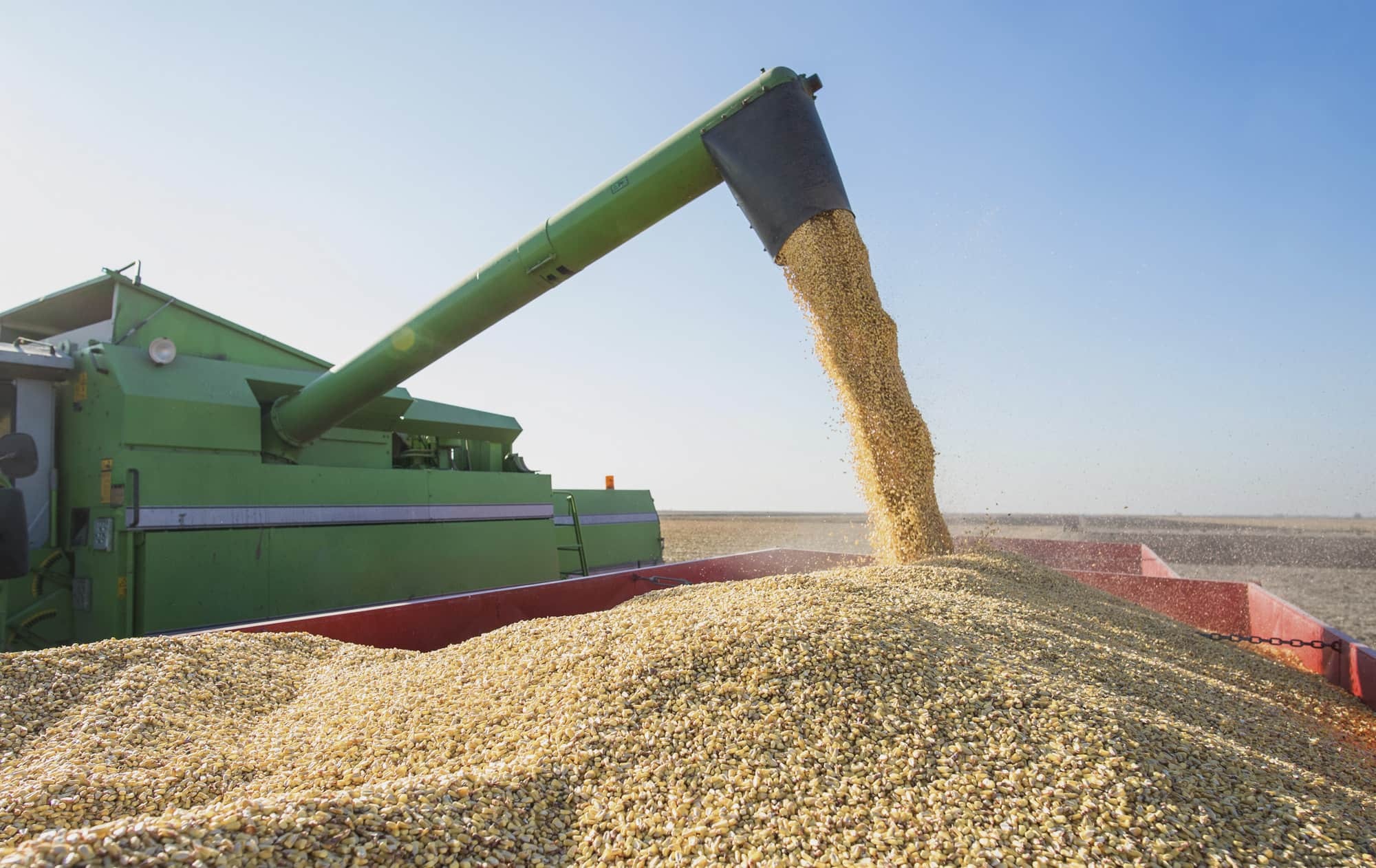 ProGRANO | Proveedores de maíz blanco en México imgi 32 home5