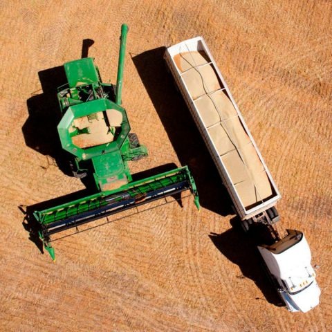 ProGRANO | Proveedores de maíz blanco en México imgi 61 slider2 480x480