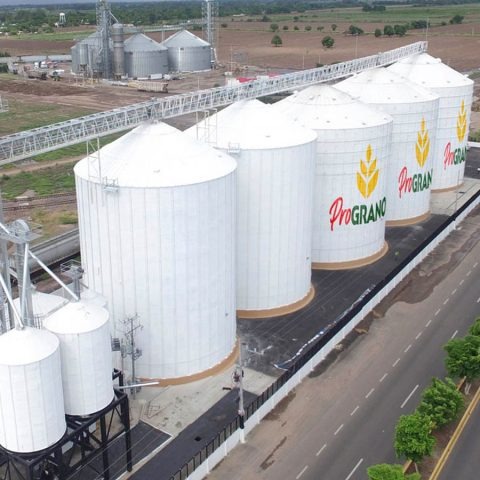 ProGRANO | Proveedores de maíz blanco en México imgi 62 slider3 480x480