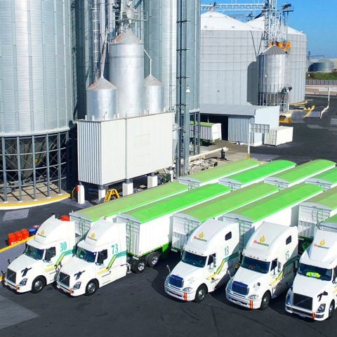 ProGRANO | Proveedores de maíz blanco en México imgi 63 slider 4 480x480