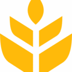 imgi 58 lili logo maiz 259x300